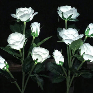 Everbloom™ Solar Flower Lights