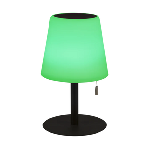 Minimalist Modern Table Lamp