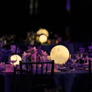 Selene™ Moon Garden Light